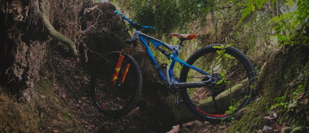 mountain bike in woods